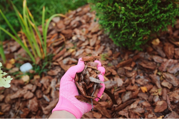 garden mulch to prevent weed growth